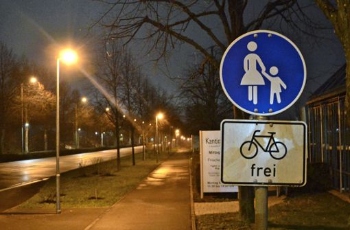 Die Stadt soll nicht nur für Radler, sondern auch für Fußgänger mehr tun, finden mehrere Fraktionen. Foto: /Philipp Braitinger