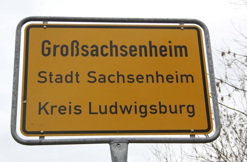 Das Eichwald-Gebiet soll Großsachsenheim Gewerbesteuer und Jobs bringen. Foto: Pascal Thiel