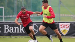Zwei Sorgenkinder aktuell beim VfB Stuttgart: Emiliano Insua und Mario Gomez. Foto: Pressefoto Baumann