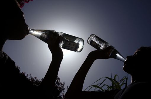 trinken in einem Garten im grellen Sonnenschein Mineralwasser aus Flaschen. Foto:  