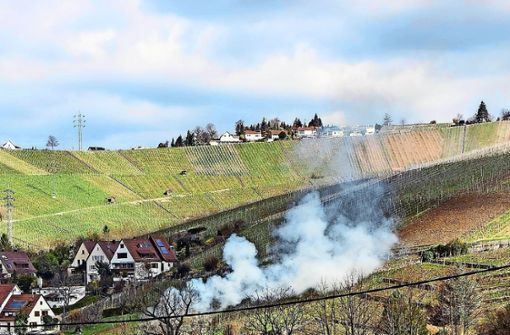Dichte Rauchschwaden  ziehen über die  Uhlbacher Weinberge – die Anwohner stört das gewaltig. Foto: W. Schraffenberger (z)