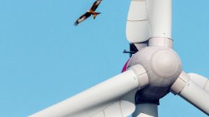 Ein Rotmilan kreist über einem Windrad. Energieforscher wollen verhindern, dass die Vögel von Rotoren getötet werden, doch einem Naturschutzverein reicht das nicht. Foto: Imago/Birgit Seifert Foto:  