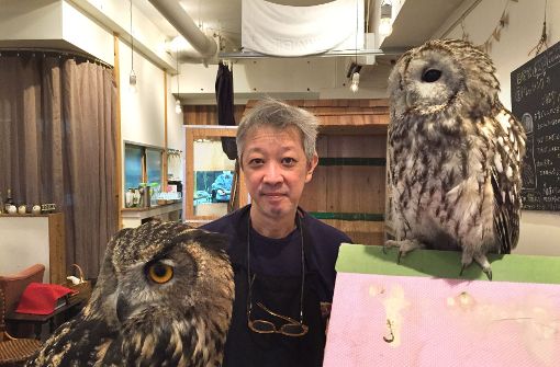 Das Eulen-Café in Tokio findet regen Zuspruch der Tierfreunde. Foto: dpa