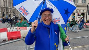 Lynne Medcraft demonstriert seit zwei Jahren gegen den Brexit – täglich Foto: Kabatek