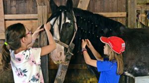 Die Mädchen auf der Jugendfarm konnten beim Pferdefrisiertag mit bunten Haargummis und Bürsten die Ponys herrichten. Foto: Wiebke Wetschera