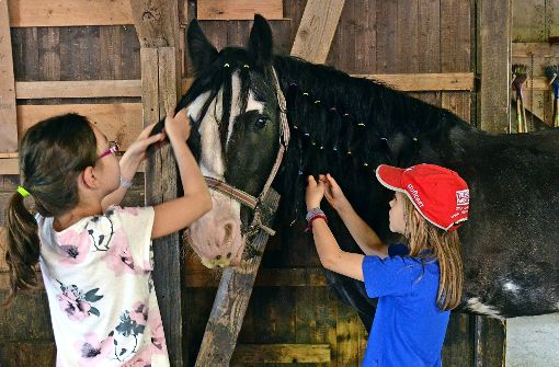 Die Mädchen auf der Jugendfarm konnten beim Pferdefrisiertag mit bunten Haargummis und Bürsten die Ponys herrichten. Foto: Wiebke Wetschera