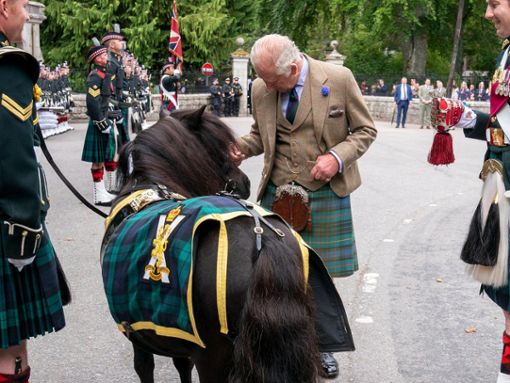 Charles mit dem berüchtigten Pony Corporal Cruachan IV. Foto: imago/Avalon.red