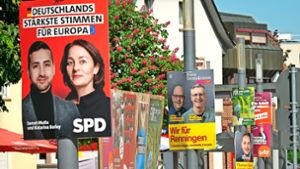 Kaum zu übersehen: Am 9. Juni sind Kommunal- und Europawahlen. Nicht nur in Renningen wird dafür eifrig geworben. Foto: Simon Granville