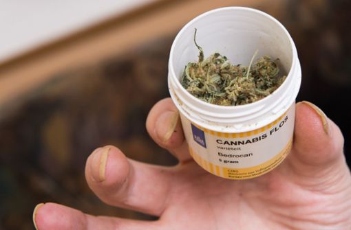 Bestimmte Inhaltsstoffe der Cannabispflanze könnten sich im medizinischen Bereich für die Behandlung von Depressionen, Entzündungen und Epilepsien eignen. Foto: dpa/Swen Pförtner