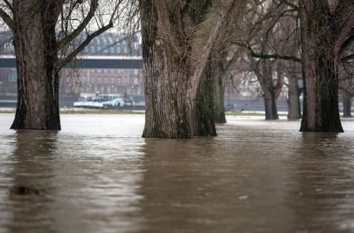 Hochwasser am Rhein in Düsseldorf. Foto: dpa