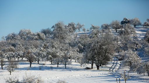 Die Landschaft bei Lenningen im Kreis Esslingen ist von Schnee überzogen. Foto: Ines Rudel