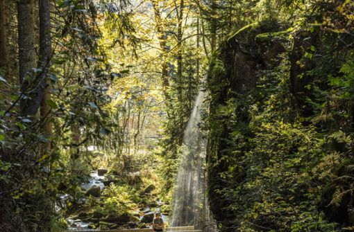 Menzenschwander Wasserfall Foto: Hochschwarzwald Tourismus GmbH