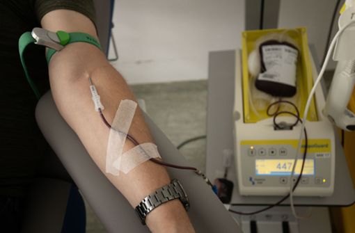 Blutspender sind in mehren Bundesländern gerade dringend gesucht. Foto: Lichtgut/Leif Piechowski