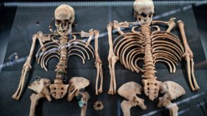 Das Foto zeigt zwei Opfer der Pest im 14. Jahrhundert aus einem Doppelgrab in Deutschland. Foto: Fabian Strauch/dpa