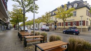 Klimaneutralität in Ludwigsburg: Kommunales Wärmenetz als Herkulesaufgabe