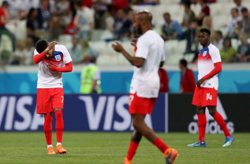 Die Fußballer aus England und Tunesien hatten beim WM-Spiel in Wolgograd mit Mücken zu kämpfen. Foto: Getty Images Europe