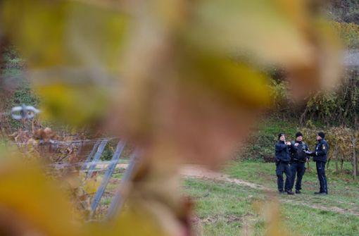 Polizisten suchen entlang der Laufstrecke nach der vermissten Joggerin. Später finden sie sie tot in einem Gebüsch. Foto: dpa