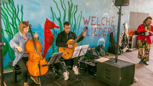 Die Esslinger Kulturszene zeigte beim Aktionstag des Netzwerks Kultur im öffentlichen Raum ihre Vielfalt. Foto: Roberto Bulgrin