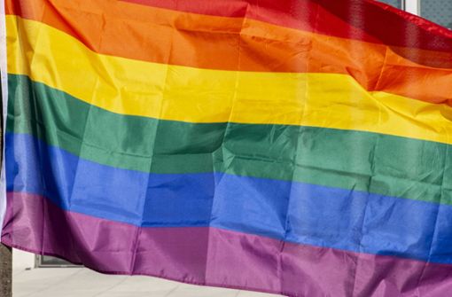 Das Hissen der Regenbogenflagge müsse sich auf einen konkreten Termin beziehen, erläuterte das Ministerium (Symbolbild). Foto: IMAGO/Westend61/IMAGO/Maria Maar