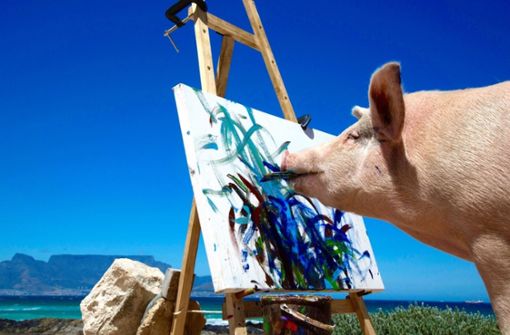 Pigcasso heißt das Schwein, das mit seinen Gemälden gerade den Kunstmarkt erobert. Foto: Swatch