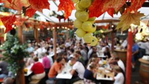Auf den Weindörfern in Kirchheim und Nürtingen kommen Weinliebhaber auf ihre Kosten. Foto: Pressefoto Horst Rudel