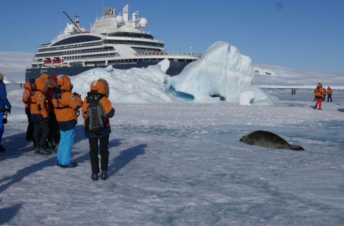 Kreuzfahrt in die Antarktis: Ab zu den Pinguinen ins Eis