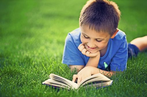 Der Reiz des Gedruckten: lesender Junge auf einer Wiese Foto: Stock-Adobe