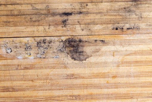 Neun hilfreiche Tipps, um Schimmel von Holz zu entfernen.