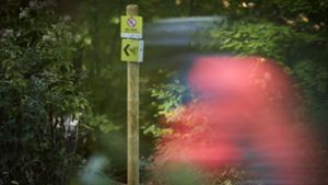 Schilder weisen  auf verbotene und  erlaubte Wegen durch den Wald hin. Foto: Gottfried Stoppel