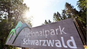 Der Nationalpark in Baden-Württemberg besteht aus rund 10 000 Hektar Schutzgebiet. Foto: dpa/Uli Deck
