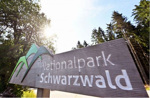 Der Nationalpark in Baden-Württemberg besteht aus rund 10 000 Hektar Schutzgebiet. Foto: dpa/Uli Deck