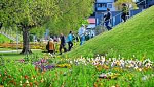 Ein Blumenmeer als Besuchermagnet wie bei der Landesgartenschau 2024 in Wangen – bald auch in Stuttgart? Foto: dpa/Felix Kästle