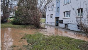 Vor den betroffenen Gebäuden in der Straße „In den Ringelgärten“ bildete sich eine riesige Wasserlache. Foto: Andreas Rosar/Fotoagentur Stuttgart