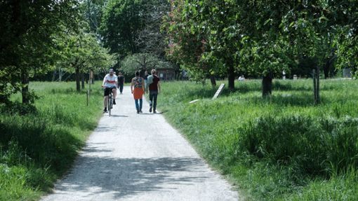 Hier im Bereich des Landschaftsparks möchte das Land den Radschnellweg führen –  die Stadt Plochingen ist aber strikt dagegen. Foto: Karin Ait Atmane