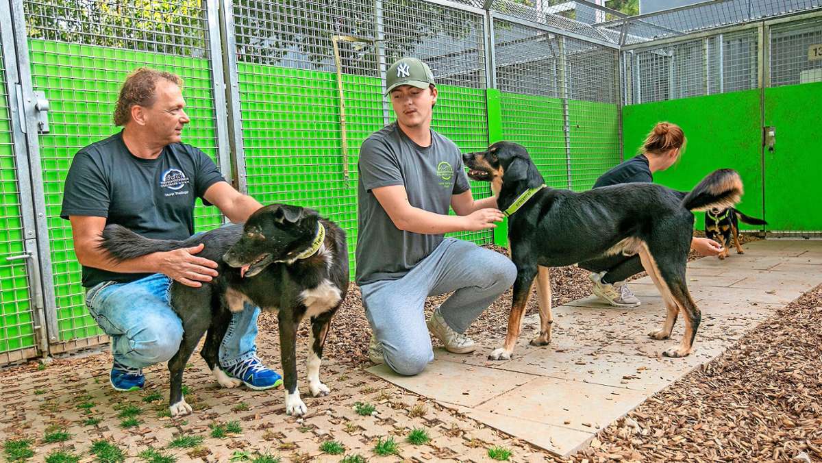 Tierschutz im Kreis Esslingen: Tierheim suchte lange ein eigenes Heim