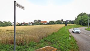 Neue Nachbarn für  Schlösslesfeld: Wo jetzt noch Getreide wächst, sollen schon bald neue Wohnungen entstehen. Foto: factum/Granville