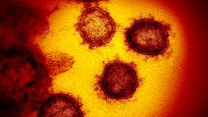 Das Coronavirus mutiert weiter, die neueste relevante Variante wird „Kraken“ genannt. Foto: Archiv //Rml