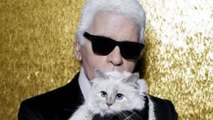 Lagerfeld und seine geliebte Katze Choupette Foto: instagram