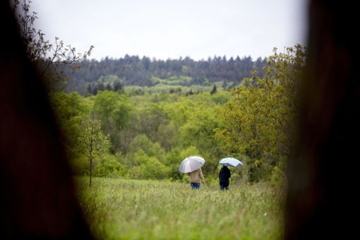 Wer im Schurwald wohnt, für den gibt es kein schlechtes Wetter.  Die Bäume und die Wiesen laden  zum Spaziergang ein. Foto:  