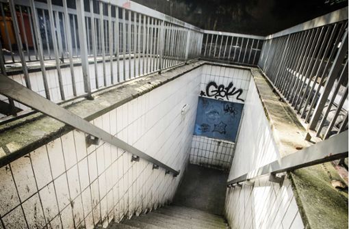 Wenig einladend sieht die Toilette im Schatten der Paulinenbrücke aus. Foto: Leif Piechowski