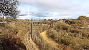 Die Hängebrücke, über die die Rottweiler am Sonntag zu entscheiden hatten, erstreckt sich weit über das Tal. Im Hintergrund der Testturm der Firma Thyssen. Foto: Eberhardt Bewehrungsbau