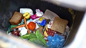 Eigentlich zu wertvoll für die Tonne: Immer wieder landen Lebensmittel im Müll. Es gibt Leute, die wollen das nicht mehr hinnehmen. Foto: dpa/Patrick Pleul
