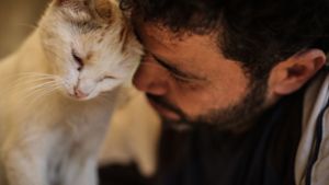 Mohammed Alaa al-Dschalil, der „Katzenmann von Aleppo“, liebkost eine Katze in seinem Tierheim in der kriegszerstörten syrischen Stadt. Foto: dpa