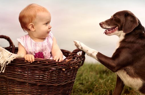 Wenn plötzlich ein Kind ins Haus kommt, müssen sich auch Hunde neu orientieren. Foto: imago /Shotshop/Nailia