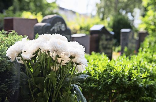 Die Blumen auf den Gräbern des Nellinger Friedhofs sind ins Visier eines Diebes geraten. Foto: picture alliance/dpa/Robert Günther