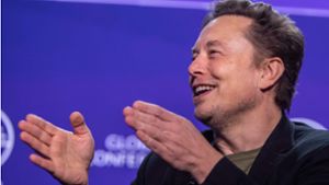 Elon Musk stellt rechtsextreme Einstufung der AfD infrage. Foto: Getty Images via AFP/APU GOMES