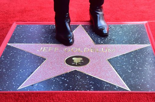 Der Stern des „Jurassic Park“-Stars Jeff Goldblum funkelt seit dem 14. Juni auf dem Walk of Fame in Los Angeles. Foto: AFP