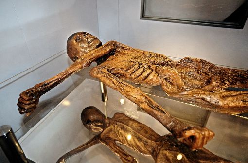Auch im Stadtmuseum liegt Ötzi in einer dem Original nachempfundenen Kühlkammer, die allerdings  wohl temperiert ist. Foto: Ines Rudel
