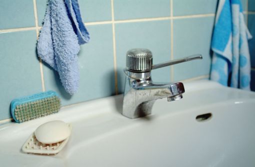 So sieht’s aus: Seife, Bürste, Waschlappen Foto: Caro/Westermann