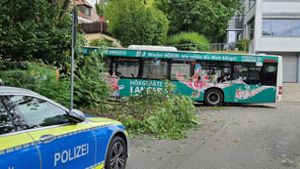 Offenbar hat ein medizinischer Notfall dafür gesorgt, dass der Busfahrer die Kontrolle über sein Fahrzeug verlor. Foto: Andreas Rosar/Fotoagentur Stuttgart